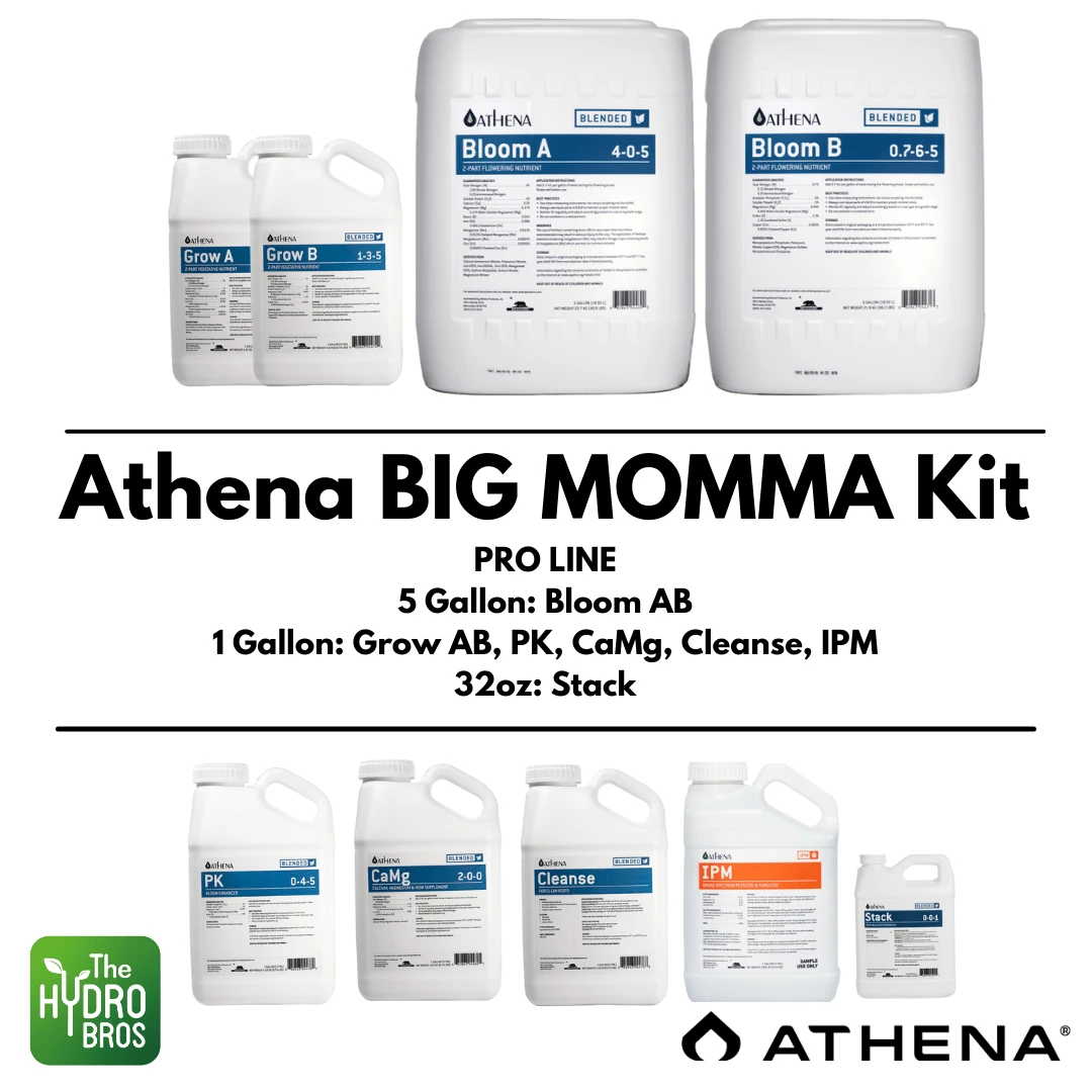 Athena Blended Line - The Full Tilt Big Momma Kit 1 Athena Blended Line - The Full Tilt Big Momma Kit