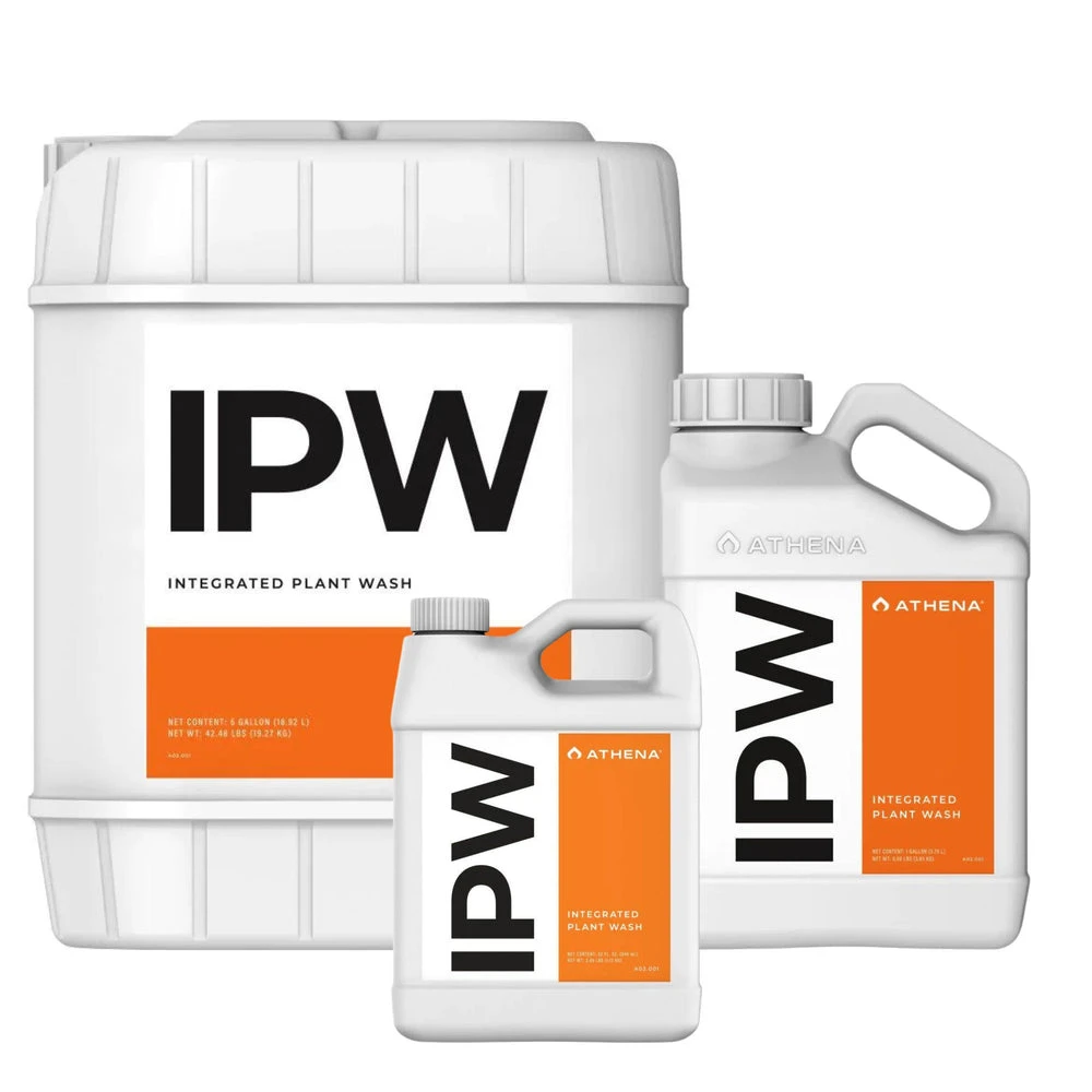Athena IPW 1 Athena IPW