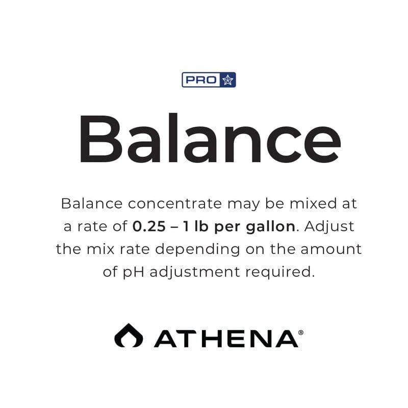 Athena Pro Balance 3 Athena Pro Balance - Image 3