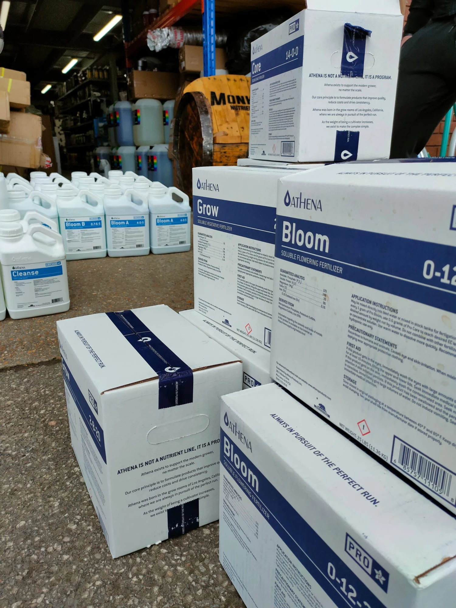 Athena Pro Line Bloom 3 Athena Pro Line Bloom - Image 3