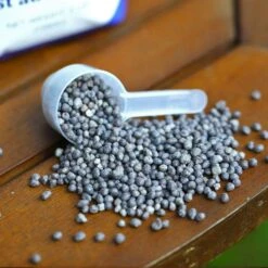 Beanstalk- K-Boost (1-0-31) Potassium Booster 13 Beanstalk- K-Boost (1-0-31) Potassium Booster -Garden Care Hub nutrients beanstalk k boost 1 0 31 potassium booster 37494325575895