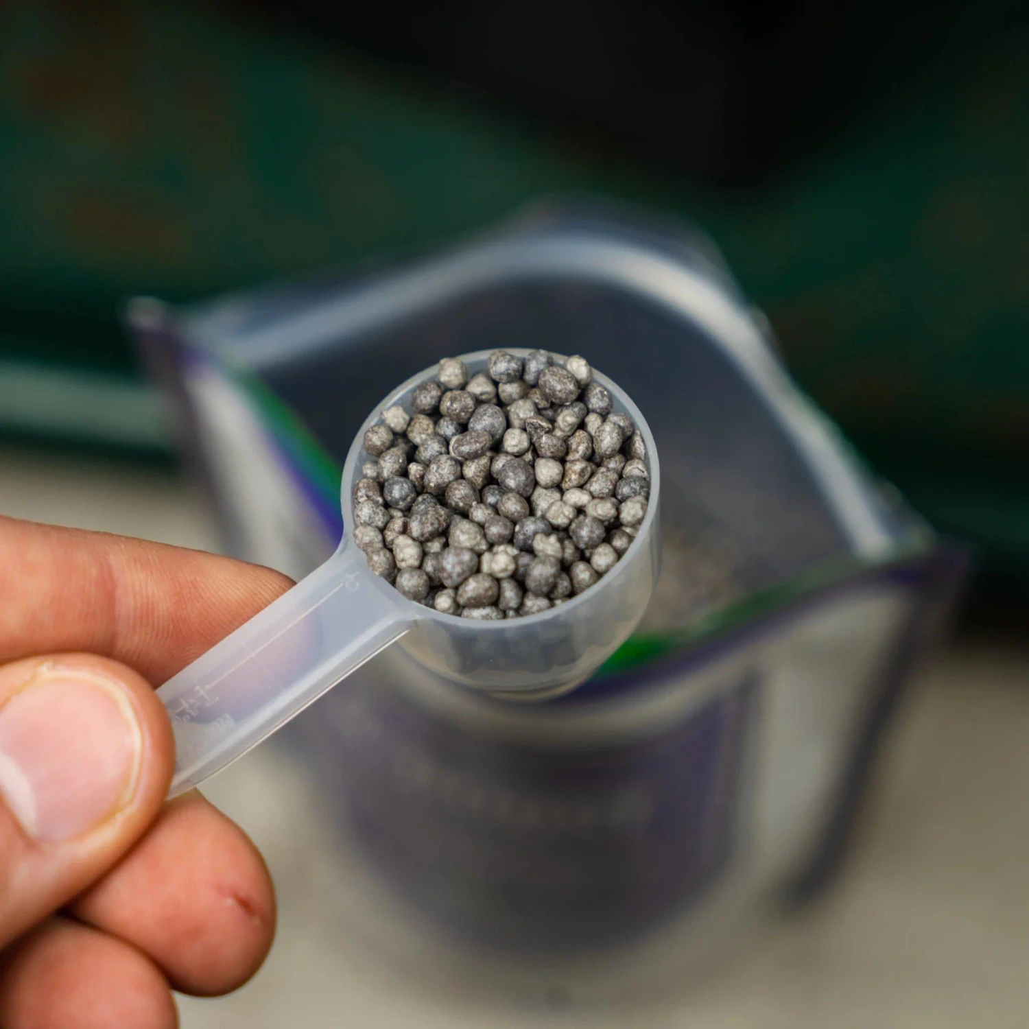 Beanstalk- K-Boost (1-0-31) Potassium Booster 7 Beanstalk- K-Boost (1-0-31) Potassium Booster - Image 7