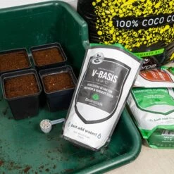 Beanstalk - V-Basis (14-4-12) Nursery / Vegetative Fertiliser 15 Beanstalk - V-Basis (14-4-12) Nursery / Vegetative Fertiliser -Garden Care Hub nutrients beanstalk v basis 14 4 12 nursery vegetative fertiliser 37492006551767