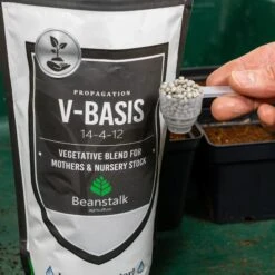Beanstalk - V-Basis (14-4-12) Nursery / Vegetative Fertiliser 17 Beanstalk - V-Basis (14-4-12) Nursery / Vegetative Fertiliser -Garden Care Hub nutrients beanstalk v basis 14 4 12 nursery vegetative fertiliser 37492006650071