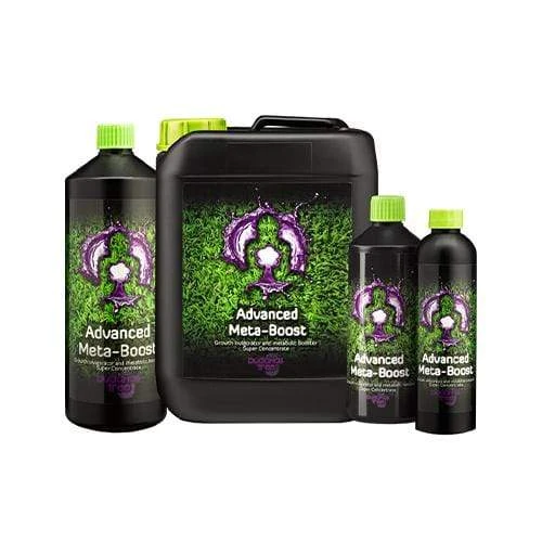 Buddhas Tree Meta Boost 1 Buddhas Tree Meta Boost