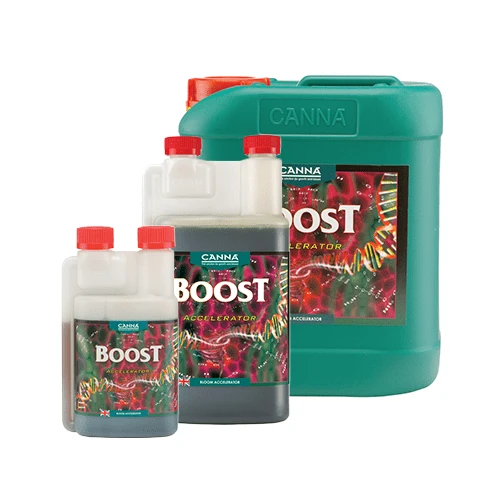 Canna - Boost Accelerator 1 Canna - Boost Accelerator