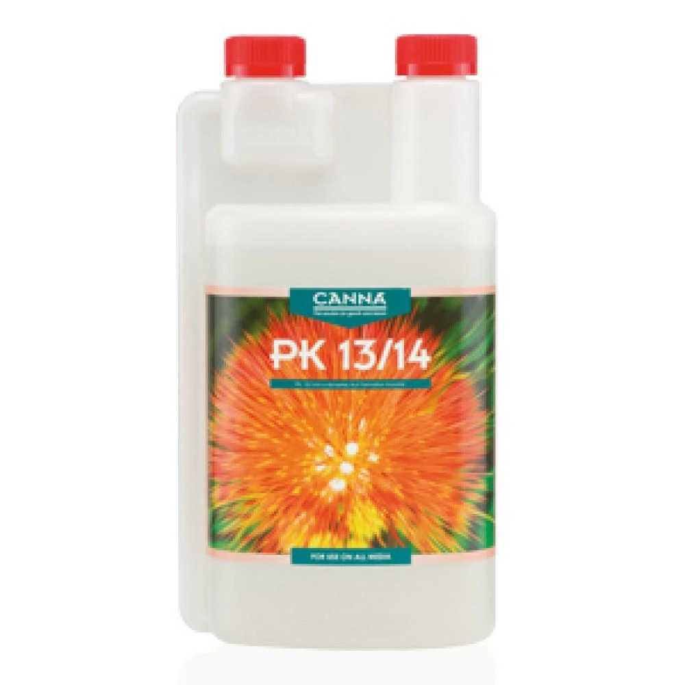 Canna - PK 13-14 3 Canna - PK 13-14 - Image 3