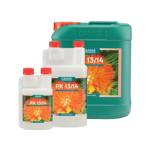 Canna - PK 13-14 1 Canna - PK 13-14