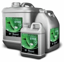 Cyco - B1 Boost