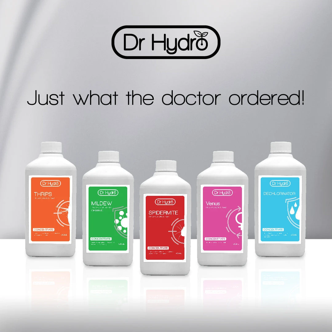 Dr Hydro - Mildew 3 Dr Hydro - Mildew - Image 3