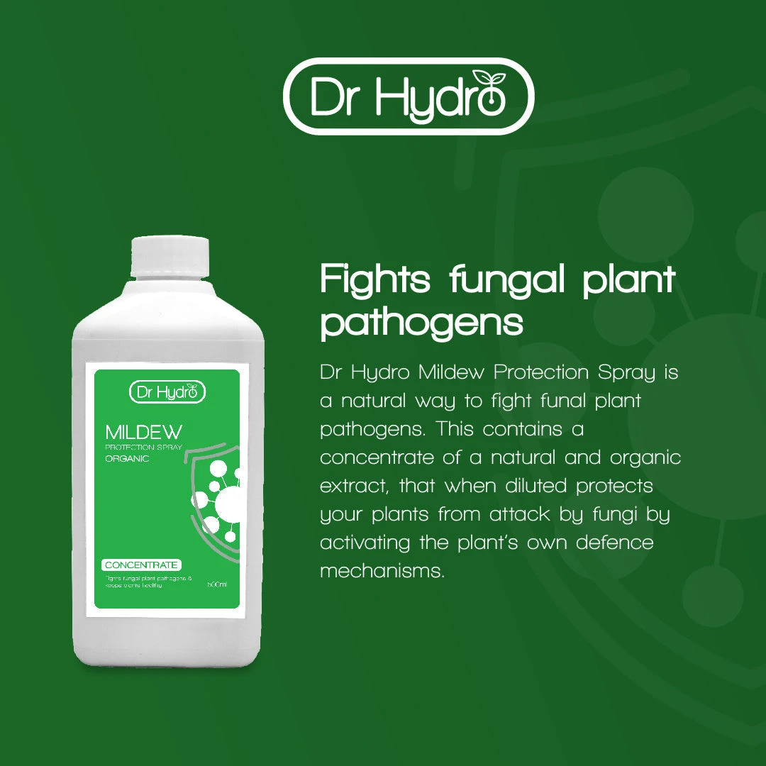 Dr Hydro - Mildew 2 Dr Hydro - Mildew - Image 2