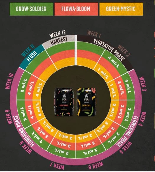 Juju Royal - I & I Starter Pack 2 Juju Royal - I & I Starter Pack - Image 2