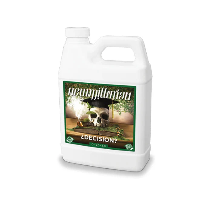 New Millenium Decision 1L 1 New Millenium Decision 1L