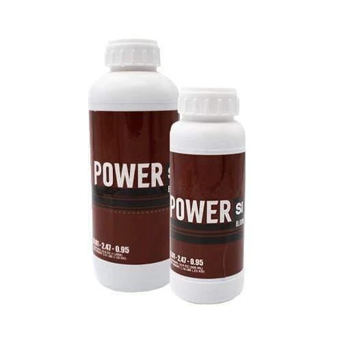Power Si - Bloom