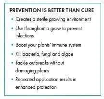 Purolyt Disinfectant Concentrate 5 Purolyt Disinfectant Concentrate - Image 5