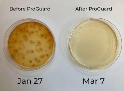 Proguard DXB 100 With BPI (500 Square Foot) 3 Proguard DXB 100 With BPI (500 Square Foot) - Image 3