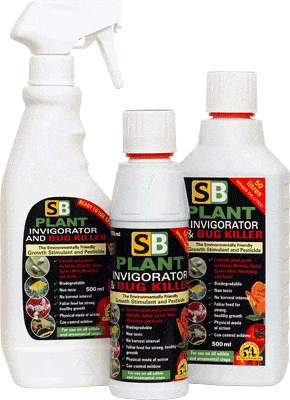 SB Invigorator 1 SB Invigorator