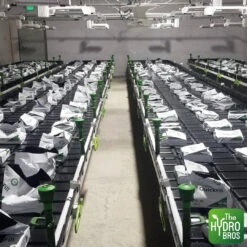 FloraFlex 4" Flora Cap V2.0 -Garden Care Hub pipes hoses fittings 4 flora flex 4 flora cap v2 0 36943609430231