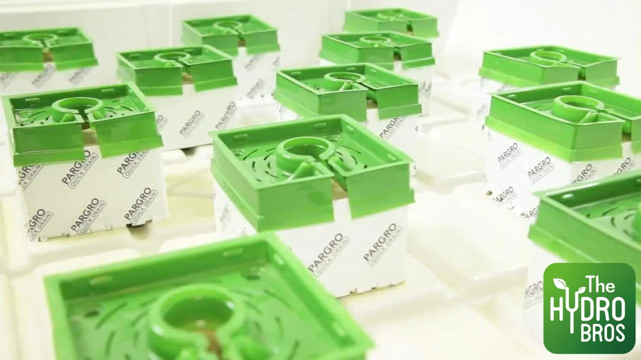 FloraFlex Single Use Flora Cap (Soft Plastic) 2 FloraFlex Single Use Flora Cap (Soft Plastic) - Image 2