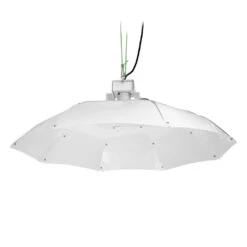 Sunking - Parabolic Reflector (Medium)