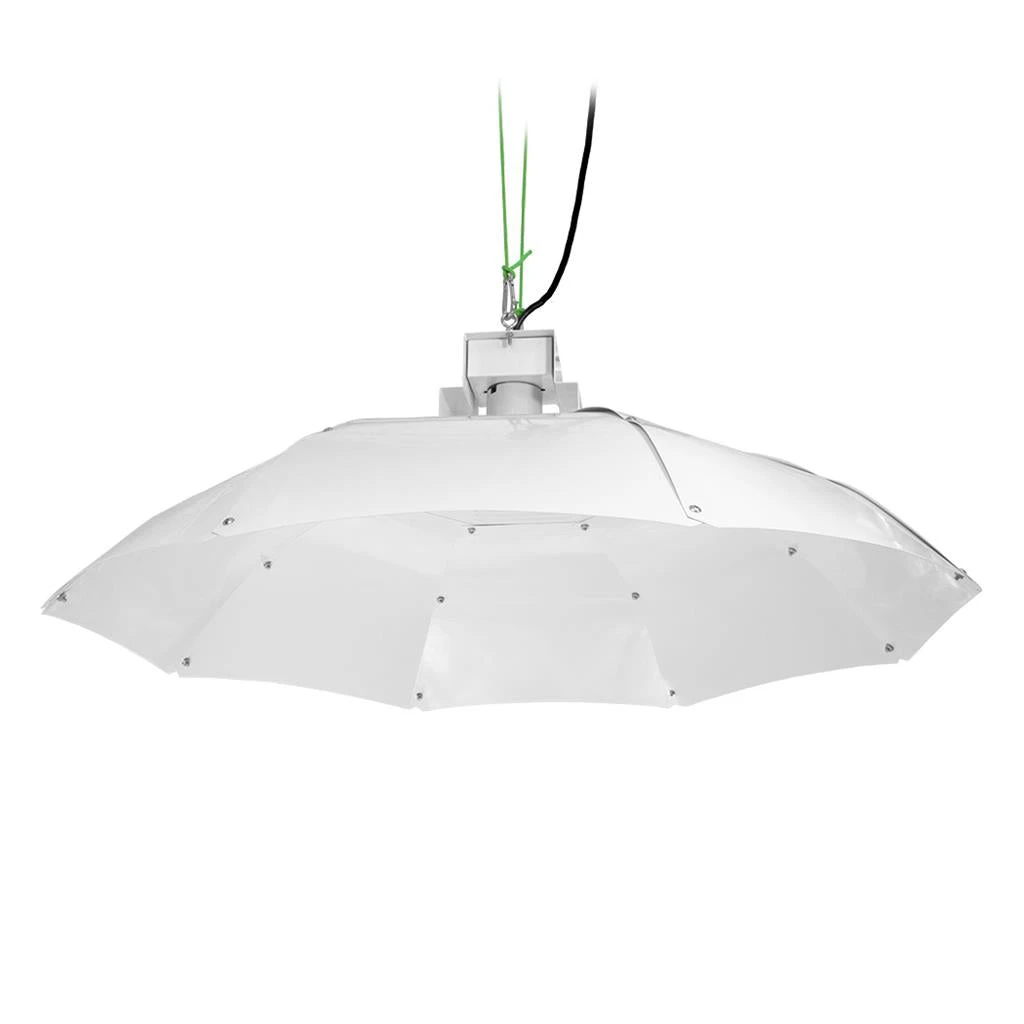 Sunking - Parabolic Reflector (Medium) 1 Sunking - Parabolic Reflector (Medium)