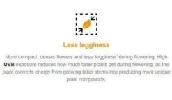 Solacure Flower Power UVB Complete Grow Light - 1m 16 Solacure Flower Power UVB Complete Grow Light - 1m -Garden Care Hub uv lighting solacure flower power uvb complete grow light 1m 29441214513336