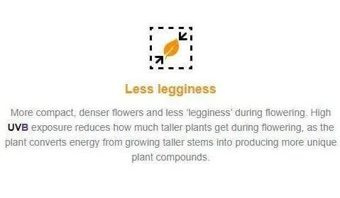 Solacure Flower Power UVB Complete Grow Light - 1m 6 Solacure Flower Power UVB Complete Grow Light - 1m - Image 6