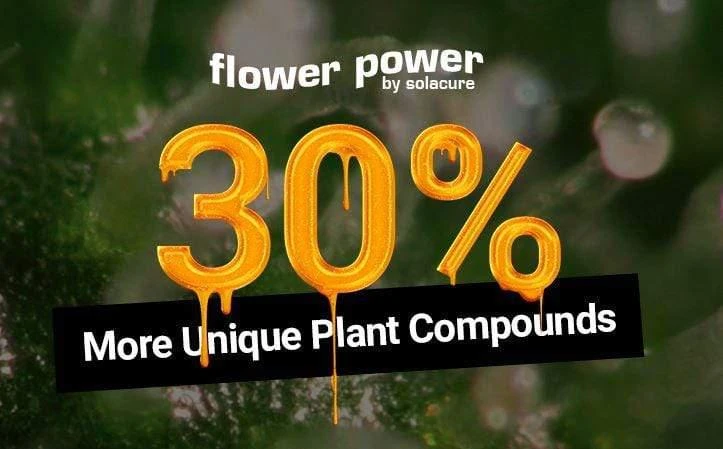 Solacure Flower Power UVB Complete Grow Light - 1m 7 Solacure Flower Power UVB Complete Grow Light - 1m - Image 7