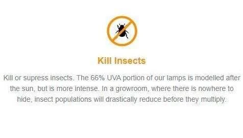 Solacure Flower Power UVB Complete Grow Light - 1m 9 Solacure Flower Power UVB Complete Grow Light - 1m - Image 9